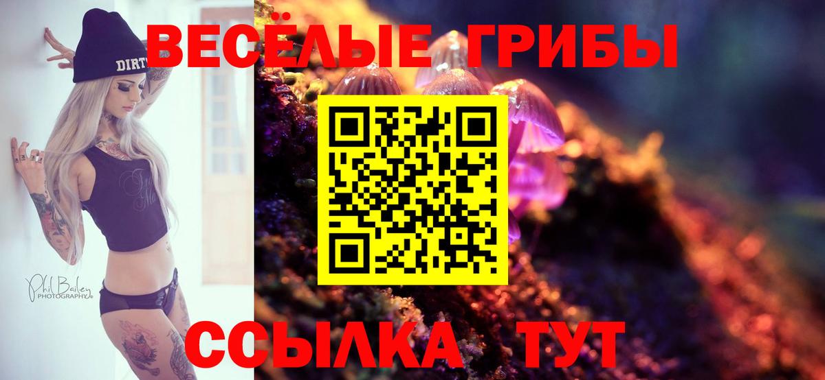 Чусовой  Галлюциногенные грибы MAGIC MUSHROOMS  хочу   Вход с VPN  Галлюциногенные грибы GOLDEN TEACHER 